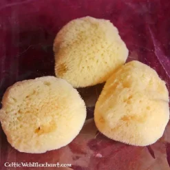 Éponges Naturelles (lot De 3)