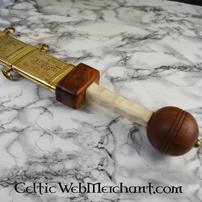 Deepeeka Gladius, Marius 5 Deepeeka Gladius, Marius – Image 3