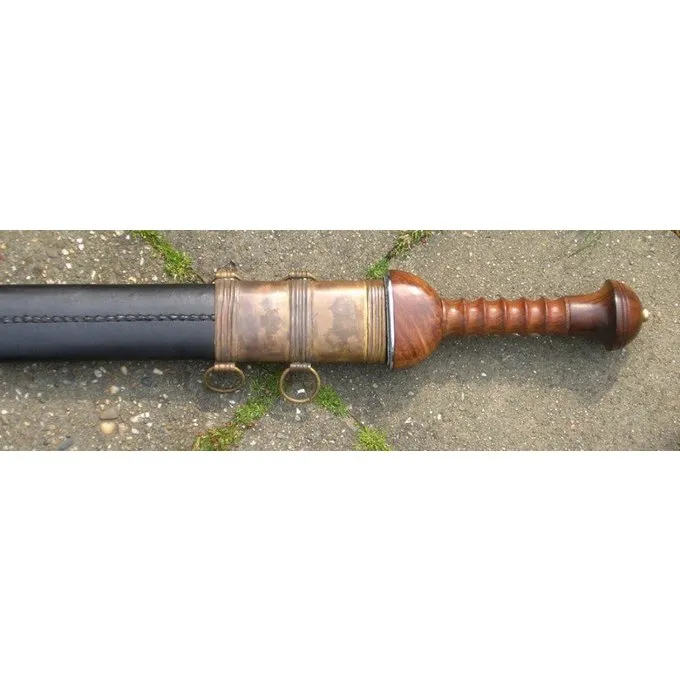 Gladius, Ovidius 5 Gladius, Ovidius – Image 3